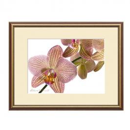 Kundenstimme: Wir schätzen die unkomplizierte Zusammenarbeit sehr und mögen Ihren erfrischenden Schreibstil.